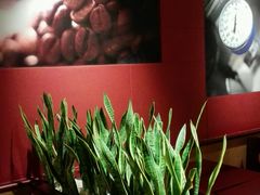 -COSTA COFFEE(新奥购物中心店)