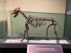 -大庆市博物馆