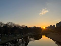 -院士公园