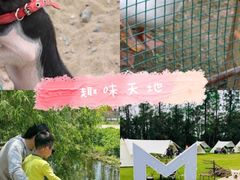 -前小桔亲子创意农场·草莓采摘·露营烧烤