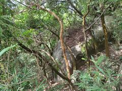 -火炉山森林公园