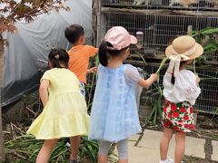 -樂桃源奉贤黄桃种植采摘基地