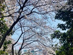 -中国银行(上海市新闸路支行)