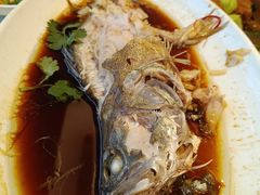 清蒸鲈鱼-新洪记·丽久饭店(铁西店)