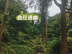 -青城山