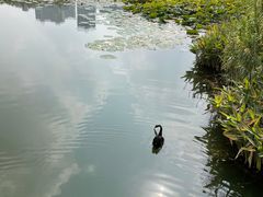 -昆山城市生态森林公园