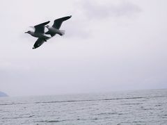 -苍山感通索道