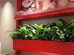 -大师兄·西北小馆(金湾华发商都店)