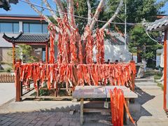 -孔子六艺文化园