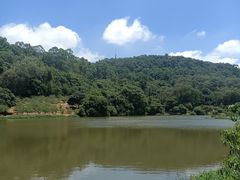 -南国桃园旅游度假区