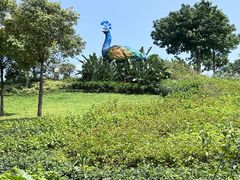 -东莞植物园