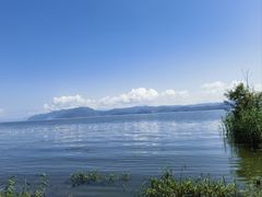 -洱海月湿地公园