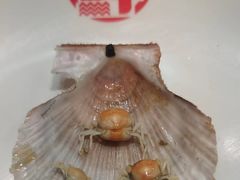 -大锅强·蒸海鲜青岛菜(吾悦广场店)