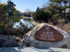 -芭东小镇温泉