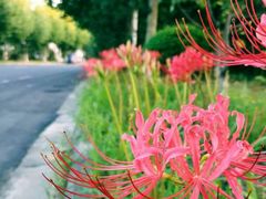 -南京金牛湖风景区