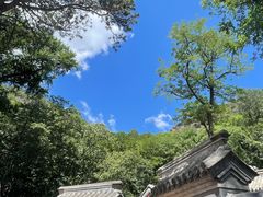 -北京上方山国家森林公园