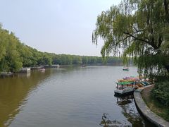 -北陵公园