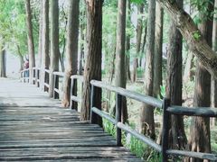 -东湖落雁景区
