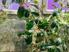 -上海昆虫博物馆