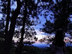 -千岛湖天屿景区