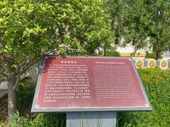 -洛阳白马寺