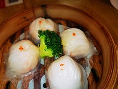 -牡丹国际大酒店-港式茶餐厅
