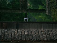 -绩溪龙川景区