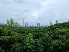 -% Arabica阿拉比卡咖啡(深圳湾万象城店)