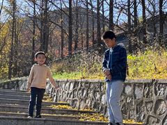 -阳台山自然风景区