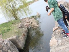 -漕湖湿地公园