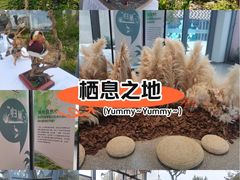 -上海植物园-4号门售票处