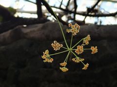 -北京植物园-展览温室