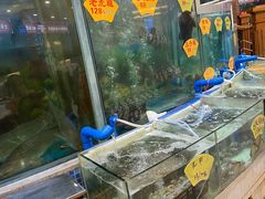 水产区-朱仔记食府(江南大道店)