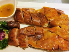 -骏莱海鲜鱼港(五角场店)