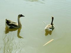 -西安浐灞国家湿地公园