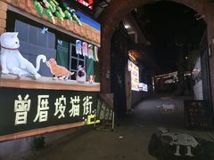 门面-有猫主题·治愈系猫咖(曾厝垵店)