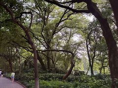 -绍兴饭店知遇楼(环山路店)