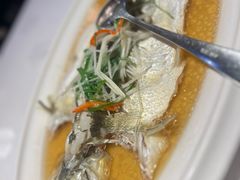 -老洋房花园饭店(绍兴路店)