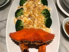 -蝶园·装修中(BFC外滩金融中心店)