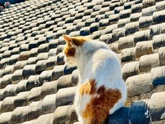-前叁門