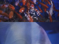 -石林冰雪海洋世界