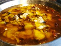 清江鱼-新沸腾鱼乡(世贸天阶店)