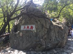 -阳台山自然风景区