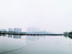 -月湖风景区