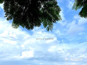 深藏于沟壑中的入海口-沙鱼涌（Chong）
