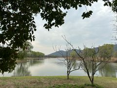 -长广溪湿地公园