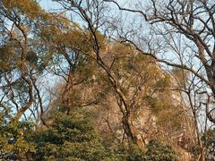-桂林独秀峰王城景区