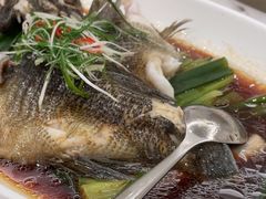 清蒸竹笋壳鱼-新南华大酒店(长寿店)
