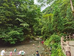 -西岭雪山大飞水景区
