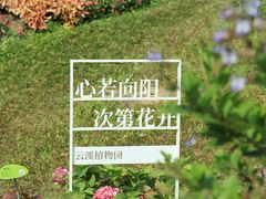 -云溪植物园